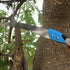 20-inch pruning saw with high carbon steel blade for gardening