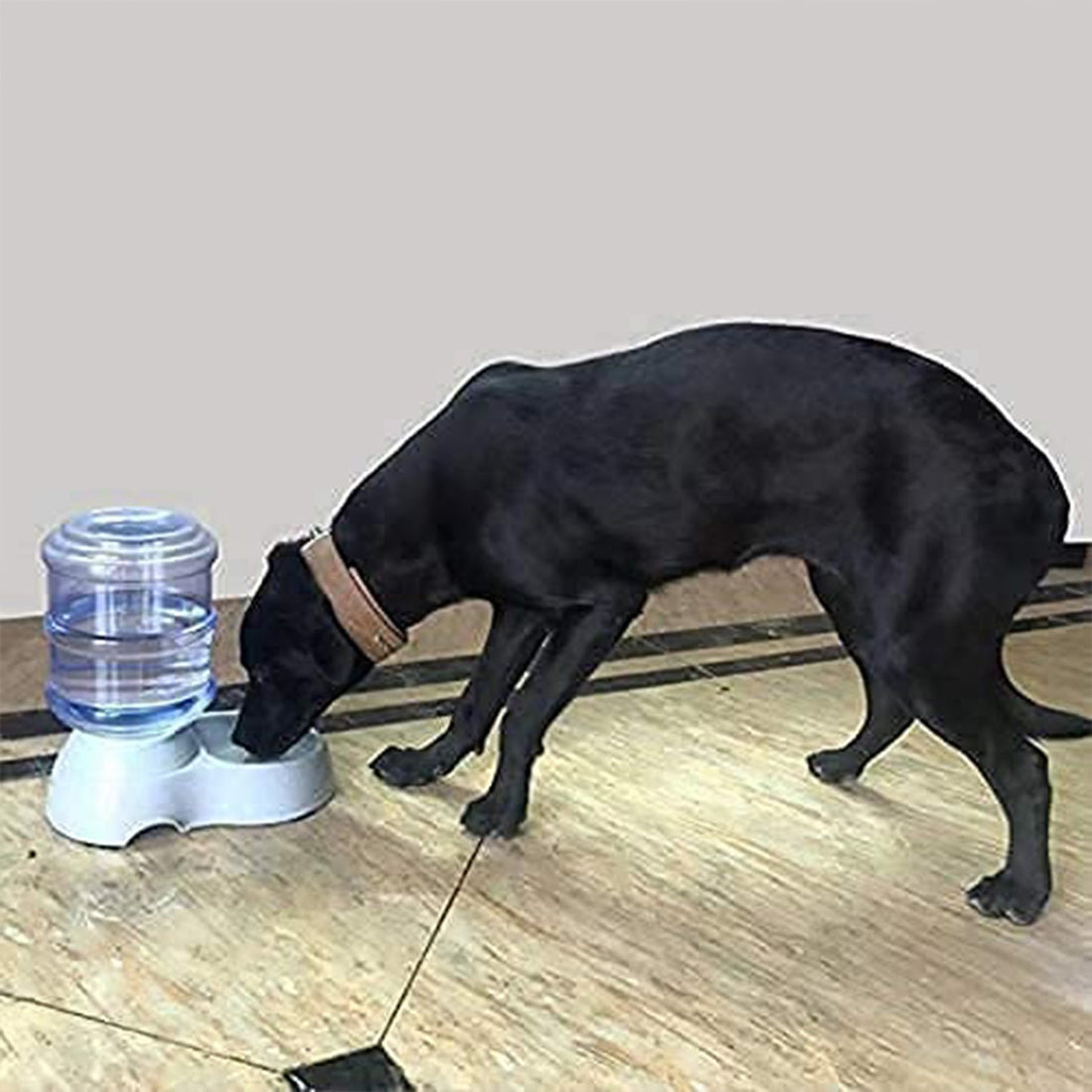 Automatic Pet Water Dispenser Self-Dispensing Gravity Pet Feeder Water Cat Dog Feeding Bowl Drinking Water &amp; Pet Feeder Food Dispenser - Replenish Pet Food for Dog Cat Animal Automatic Gravity Dry Food Storage Bottle